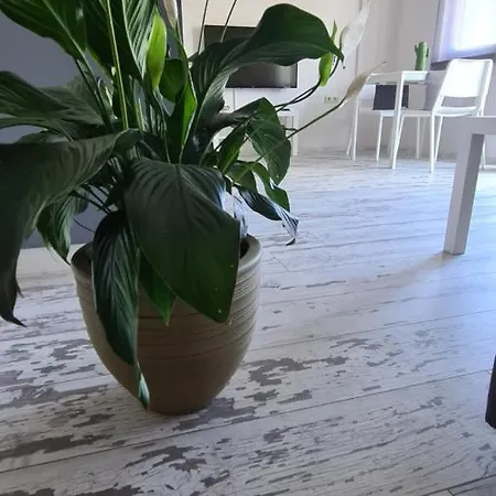 Apartment Flora